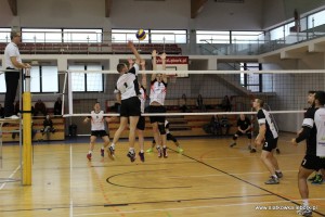 IMG 3891